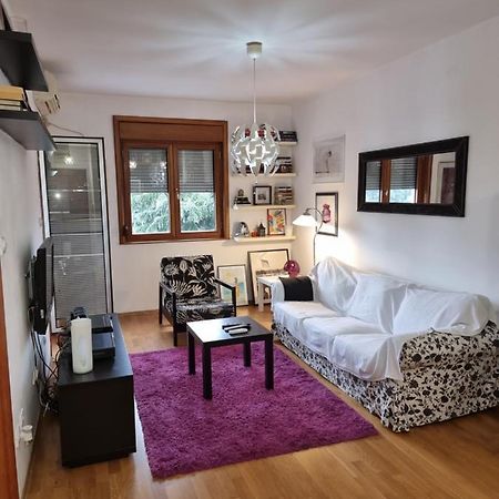 One Bedroom Centre Apartment Podgorica Exteriör bild