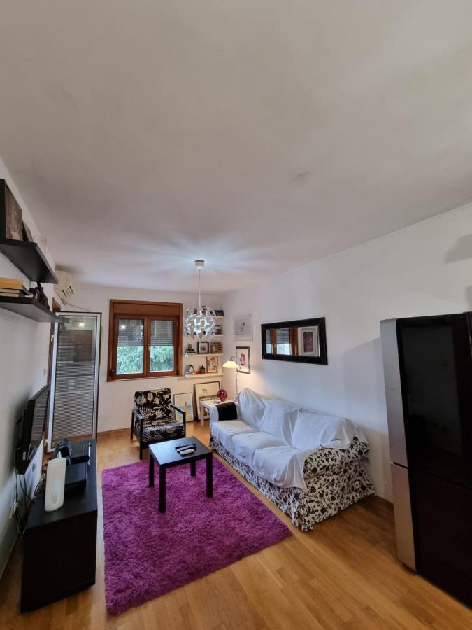 One Bedroom Centre Apartment Podgorica Exteriör bild